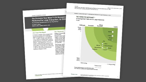 EX Management Platforms for Large Enterprises